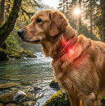 Pendentif LED Lumineux Collier Chien