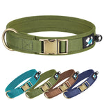 Collier Nylon Rembourré pour Chien