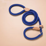 Ensemble Harnais Laisse Collier Corde