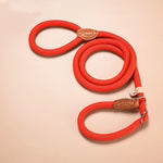 Ensemble Harnais Laisse Collier Corde