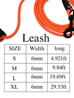 Longue Laisse Dressage Chien PVC