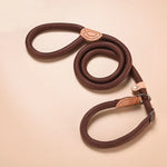 Ensemble Harnais Laisse Collier Corde