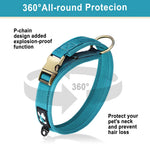 Collier Nylon Rembourré pour Chien